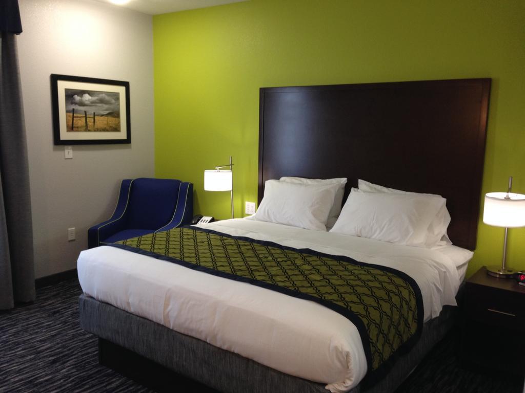 1 King Bed, Mobility/Mobility Accessible Suite, Roll-In Shower, Non-Smoking
